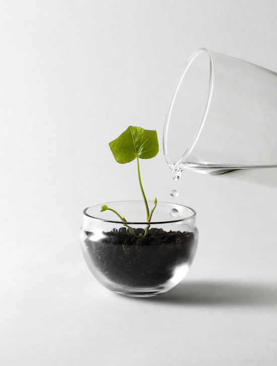 Grow mini greenhouse - water