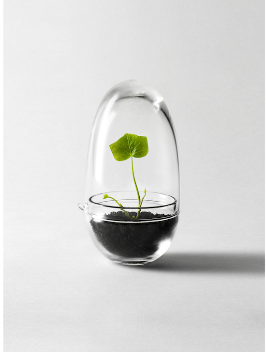 Grow mini greenhouse