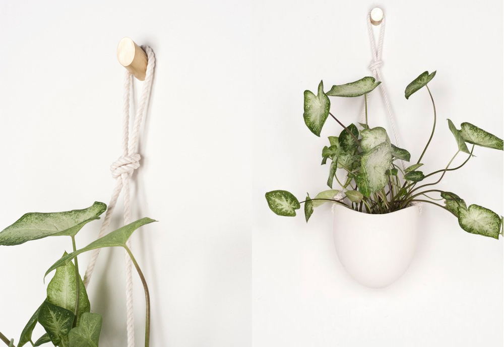 The-Styled-plant-Giveaway-XO-Home