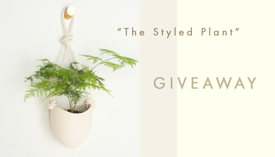 the-styled-plant---giveaway