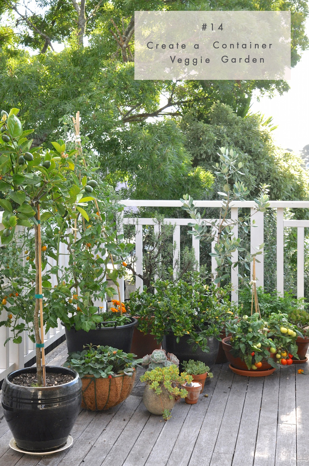 15-Ways-to-Make-a-Rental-Feel-Like-Home-#14-container-vegie-garden